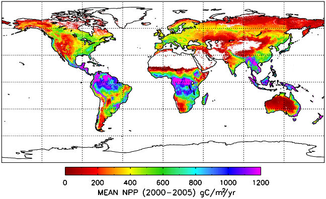 MODIS GPP/NPP Project (MOD17)