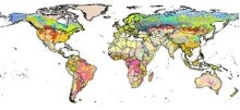 Harmonized Soil Carbon Database