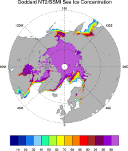 Sea ice concentration data from NASA Goddard based on SSMI and NASA Team (NT2) algorithm