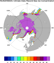 Sea Ice Concentration: NOAA/NSIDC Climate Data Record