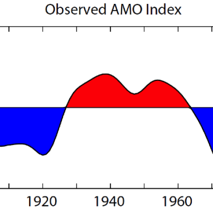 AMO index timeseries.