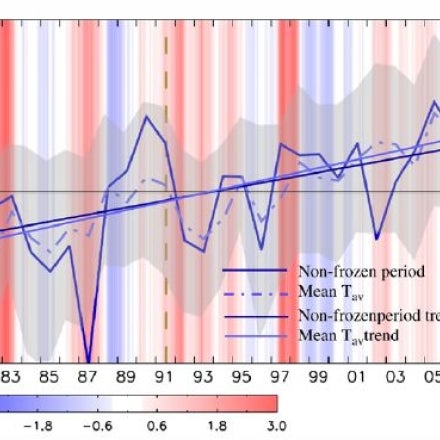 non-frozen period trend