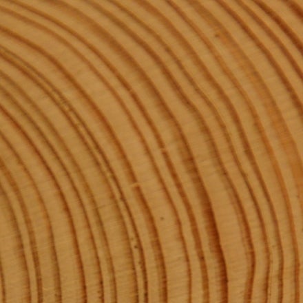 Cross section of a tree trunk showing alternating light and dark layers of the tree rings. from ucar scied, https://scied.ucar.edu/learning-zone/how-climate-works/tree-rings-and-climate credit pixabay