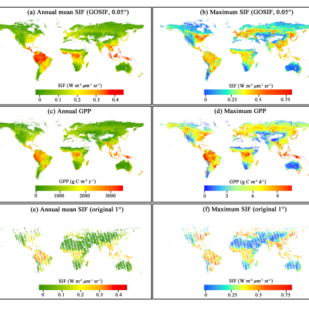 nnual mean and maximum SIF of our GOSIF product (0.05°, 8-day) and comparison with annual/maximum GPP of the MODIS GPP product and the annual mean/maximum SIF of the 1° OCO-2 SIF directly aggregated from discrete OCO-2 SIF soundings in 2015: (contributed by Jingfeng Xiao and Xing Li)